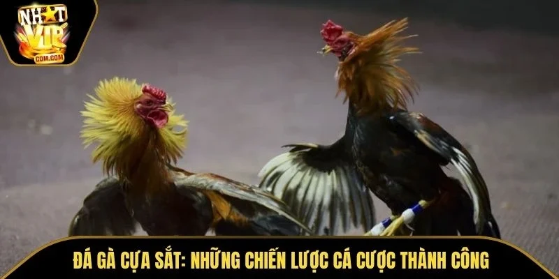 Đá Gà Cựa Sắt